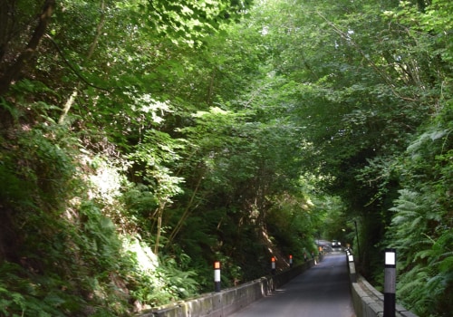 Building Community Through Commerce: How tukr box Is Redefining Social Engagement in the Digital